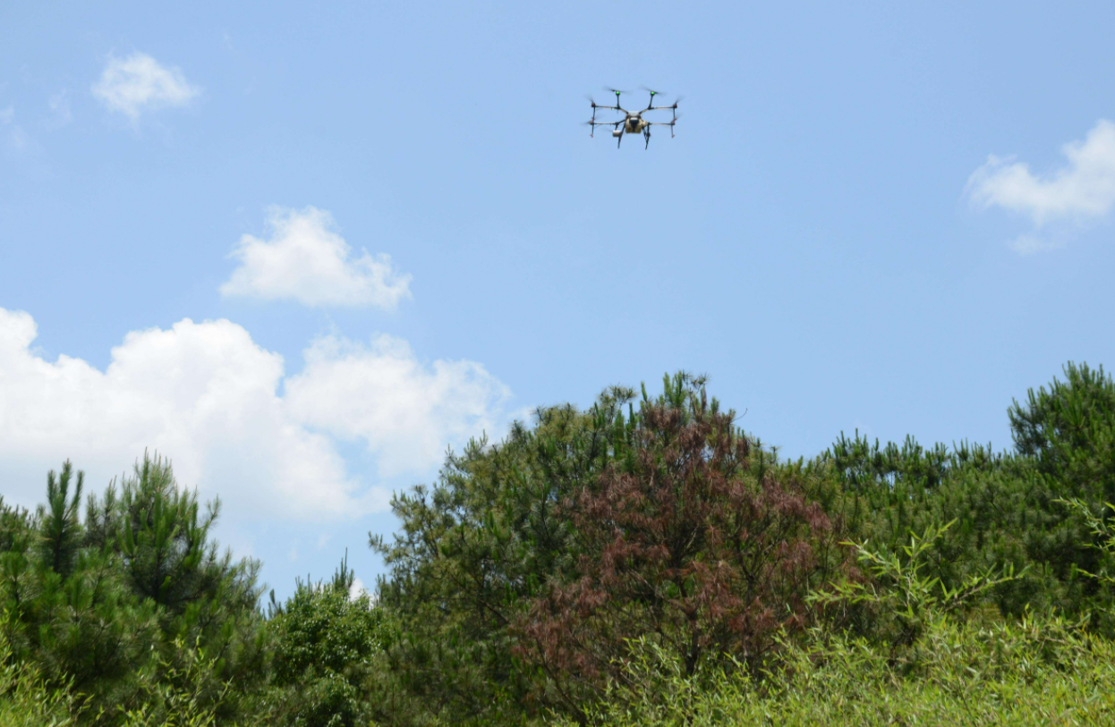 以蟲治蟲 三亞首用無人機釋放天敵防治害蟲護航綠色農業(圖1) 以蟲治蟲 三亞首用無人機釋放天敵防治害蟲護航綠色農業(圖1)