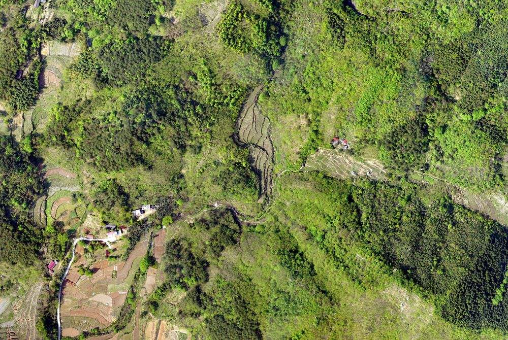 無人機技術(shù)在現(xiàn)代林業(yè)工作方面的應(yīng)用(圖2) 無人機技術(shù)在現(xiàn)代林業(yè)工作方面的應(yīng)用(圖2)