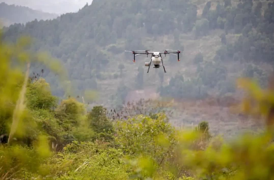 克羅地亞通過無人機播種修復被大火破壞的森林(圖1) 克羅地亞通過無人機播種修復被大火破壞的森林(圖1)